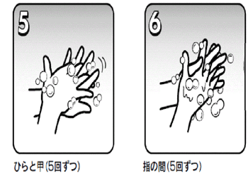 手洗い行程３