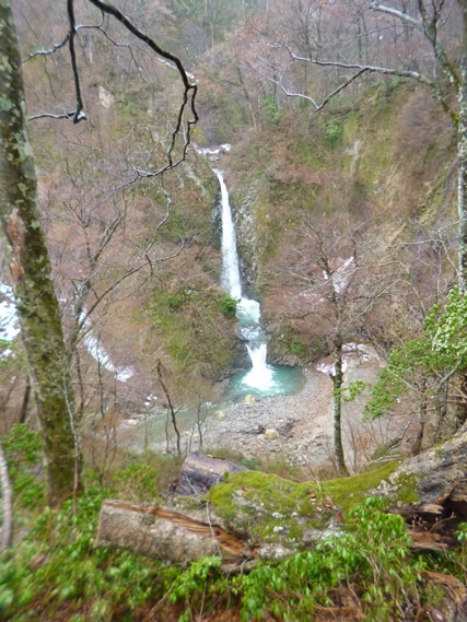 春の大山滝