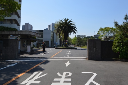 東京海洋大学の正門の写真
