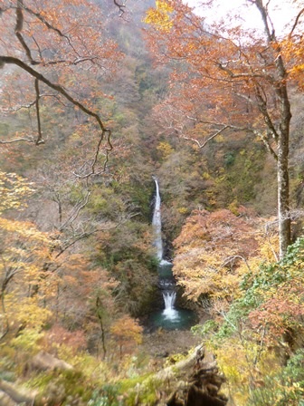 大山滝の紅葉