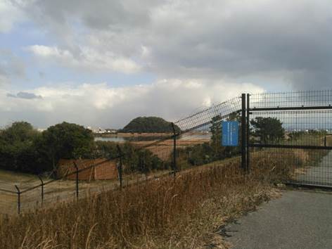 水鳥公園の様子