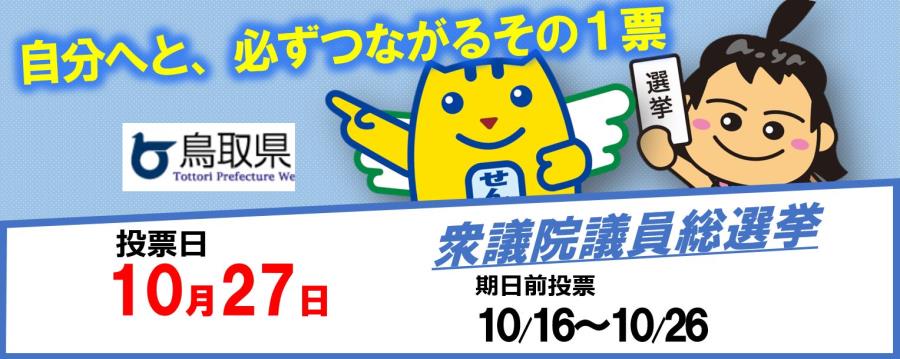 衆議院議員総選挙・最高裁判所裁判官国民審査投票