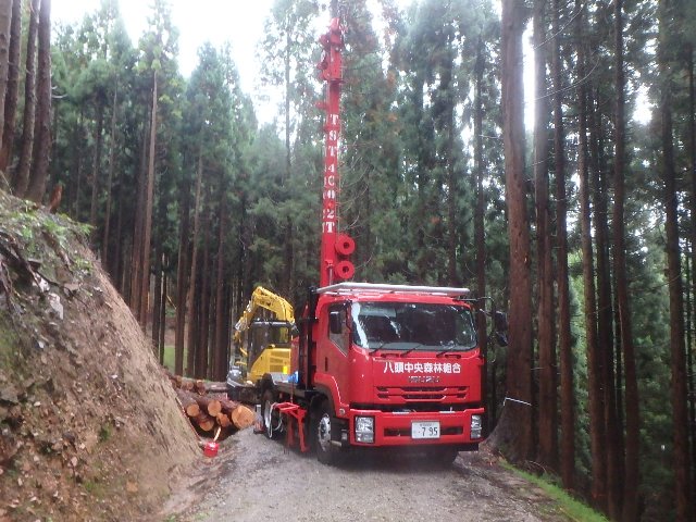 架設完了したオーストリア　ＴＳＴ社製タワーヤーダー