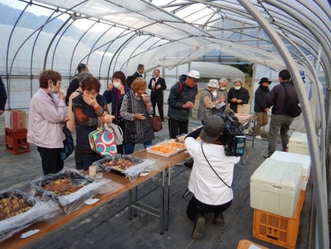 圃場案内の様子