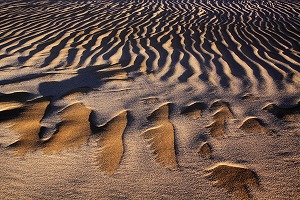 砂丘の芸術２