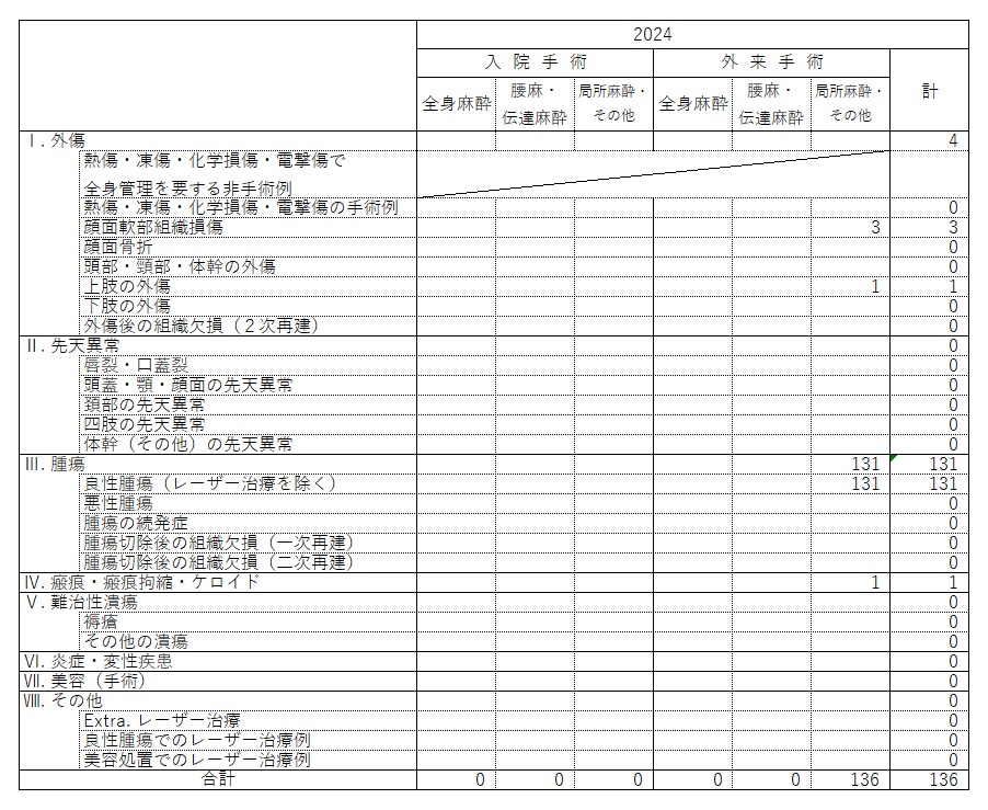 診療実績2024