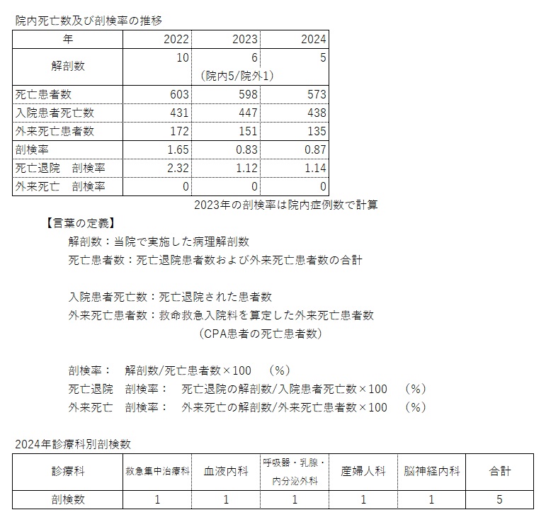 診療実績2024