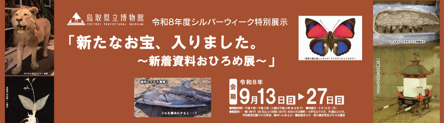 新着資料おひろめ展