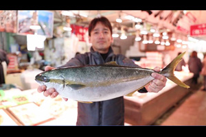 美味しい魚を届けるヒミツに迫る！鳥取県境港の新市場（動画リンク）