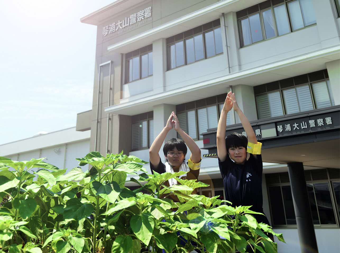 ひまわりの絆プロジェクト
