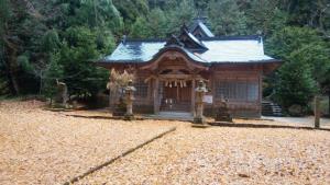 大石見神社の銀杏の絨毯