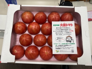 大原トマト