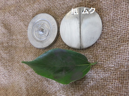 耐水ペーパー1000番で磨いた部分とムクノキの葉で磨いた部分の比較