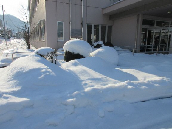 日野振興局のまわりの雪