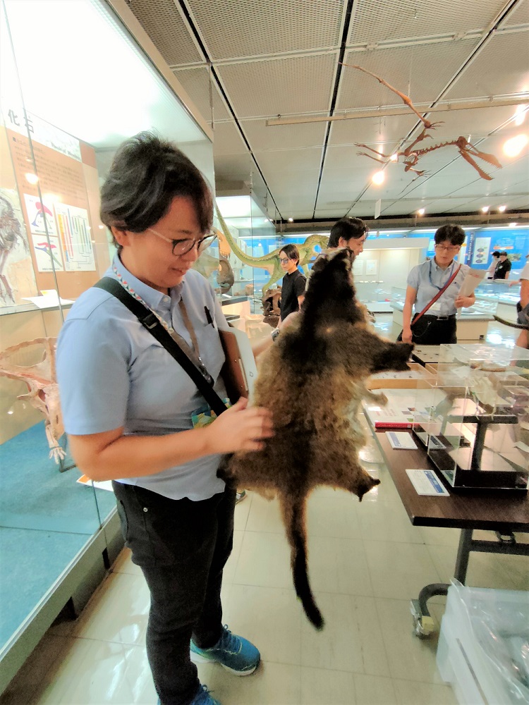 自然展示室の様子