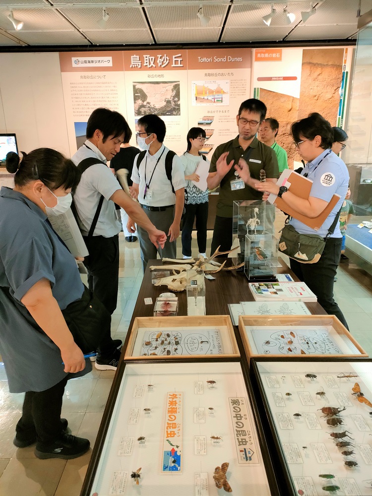 自然展示室の様子