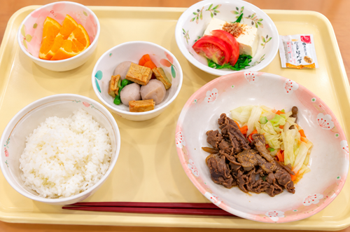 成人普通食