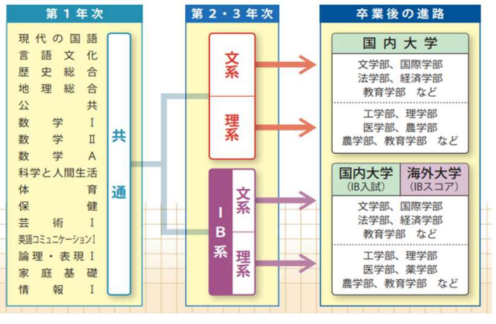 学科の内容