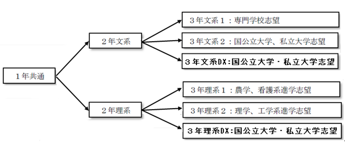 倉吉西高校　系統図