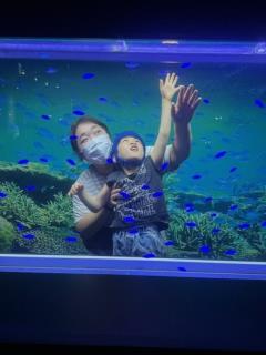 水槽越しに魚に手を伸ばす児童