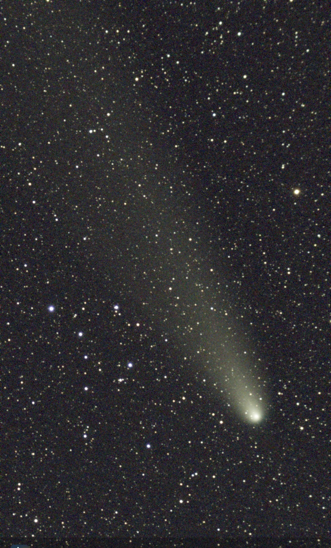 紫金山・アトラス彗星