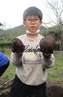 芋を持っている写真