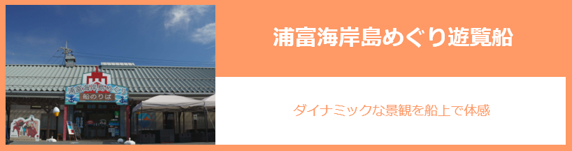 浦富海岸島めぐり遊覧船