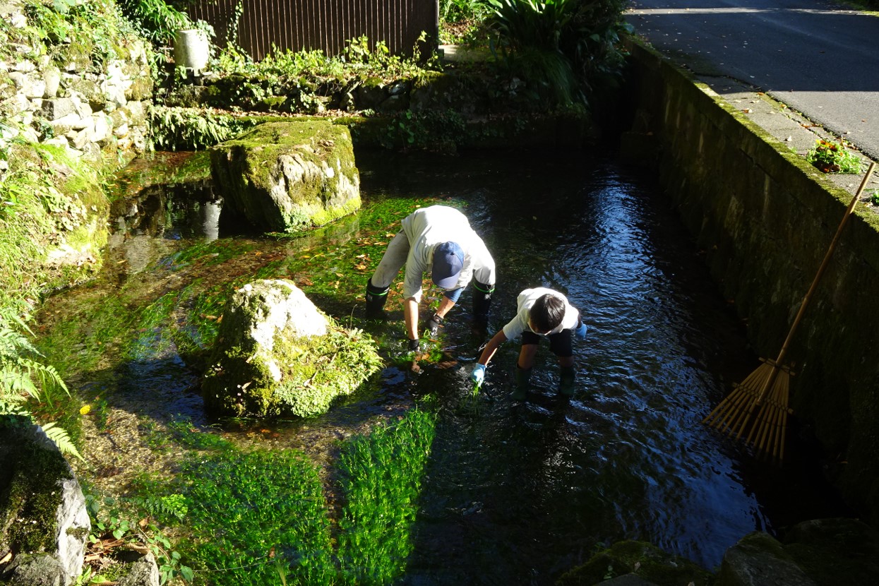 殿地区　「布勢の清水」清掃活動の写真２