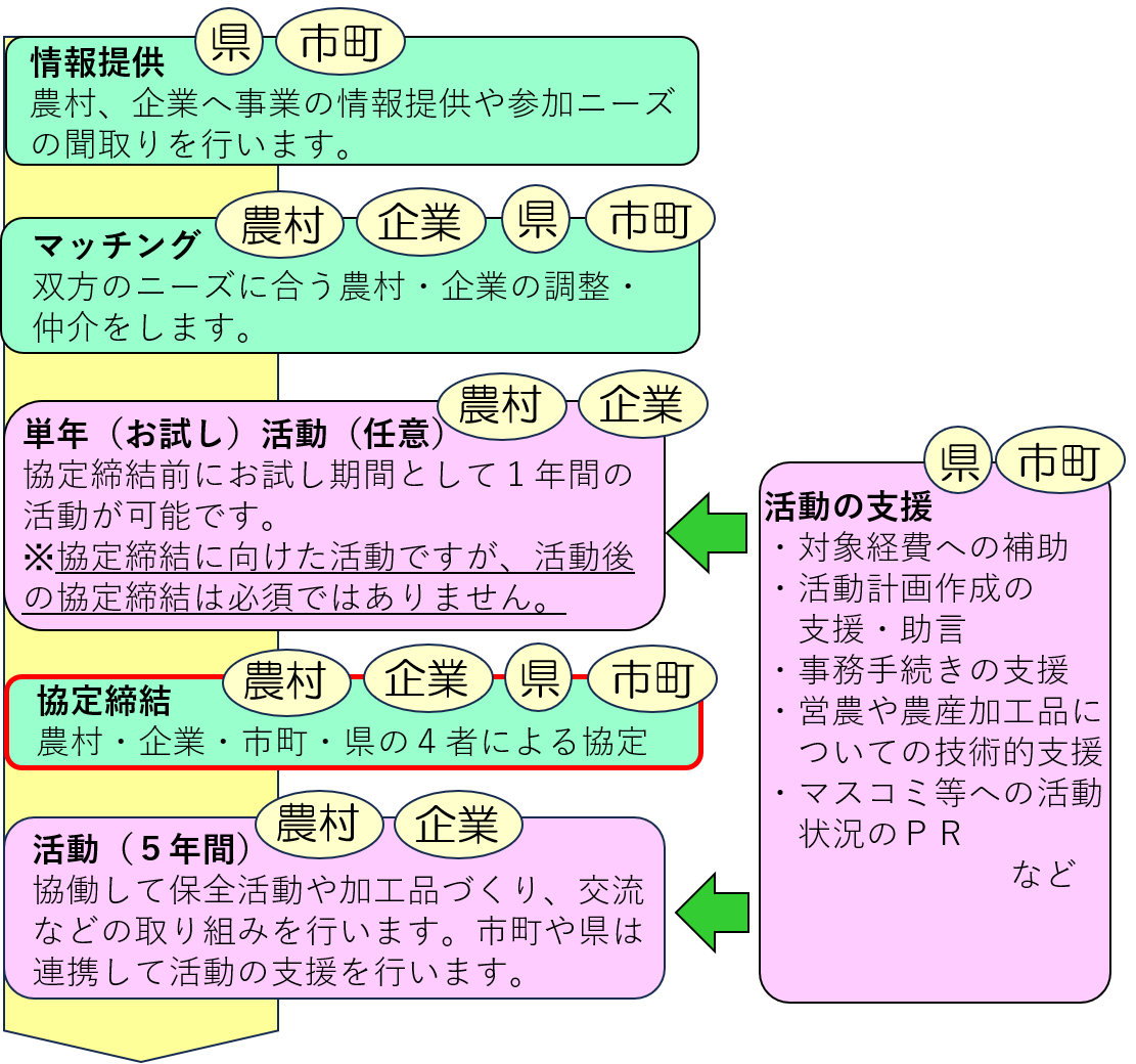 事業の流れ