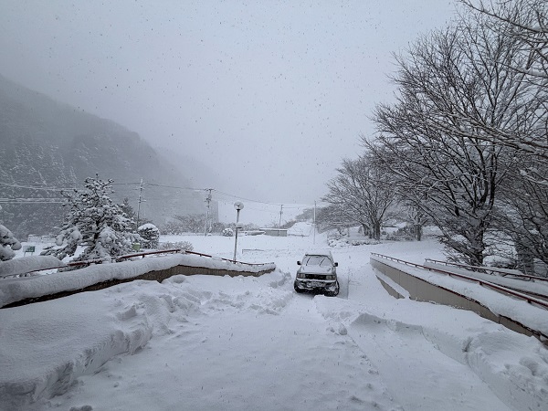 待望の積雪