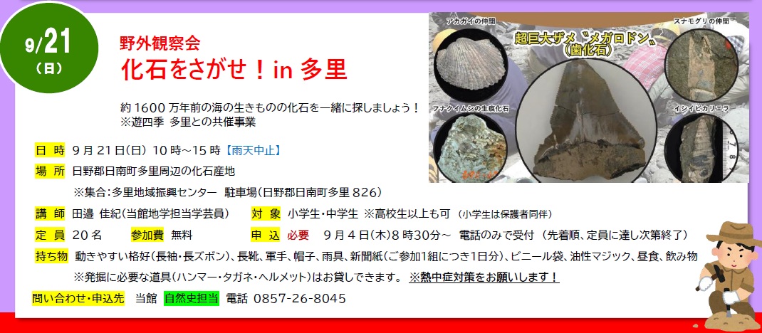 詳細