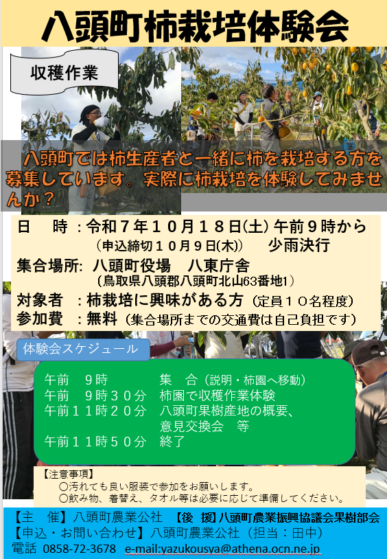 八頭柿体験会