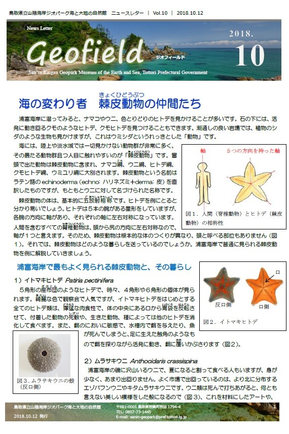 ジオフィールド10