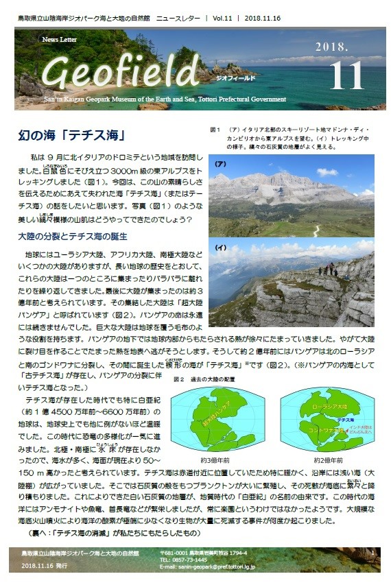 ジオフィールド11