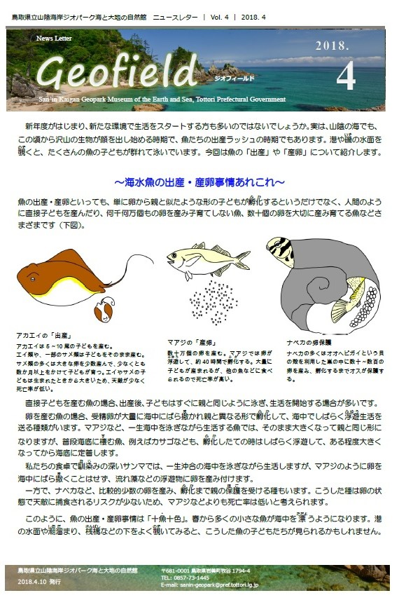 ジオフィールド4
