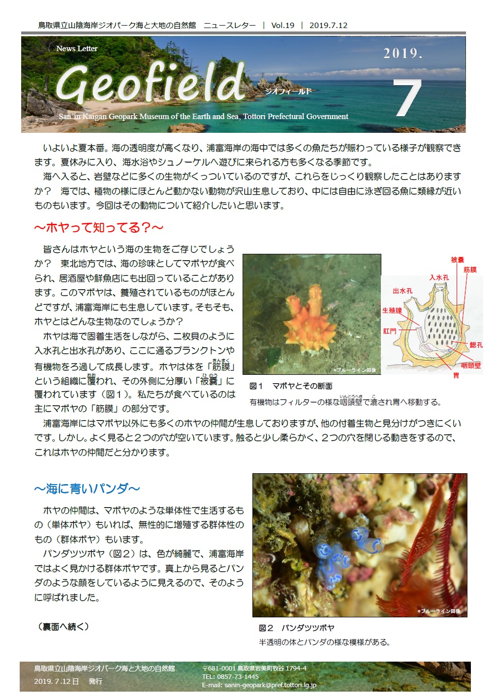 ジオフィールド19