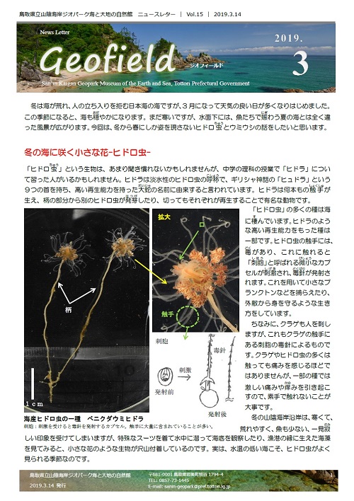 ジオフィールド15
