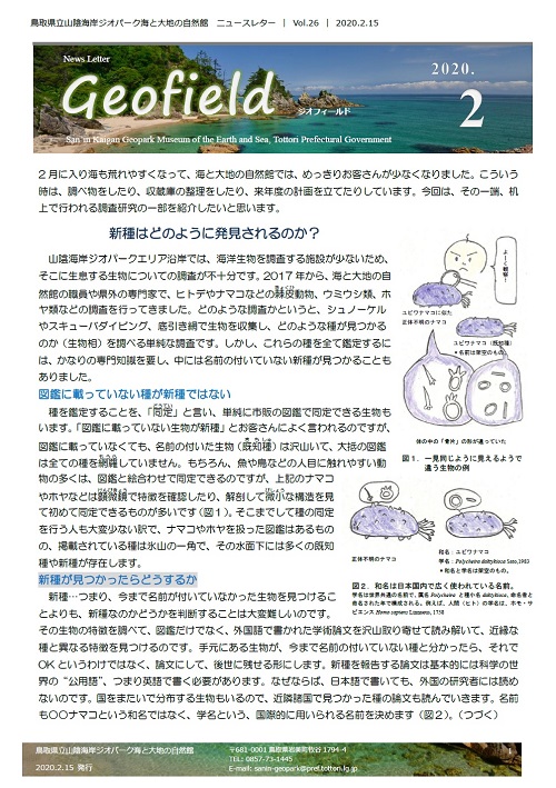 ジオフィールド26