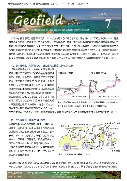 ジオフィールド31