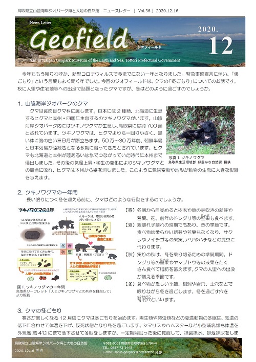 ジオフィールド36