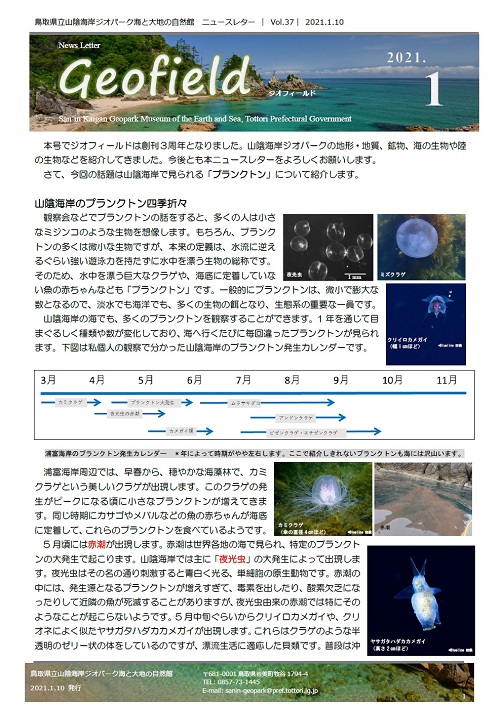 ジオフィールド37