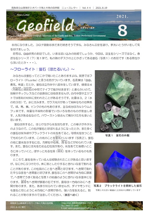 ジオフィールド44