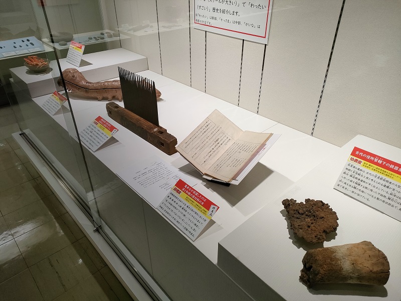 展示の様子