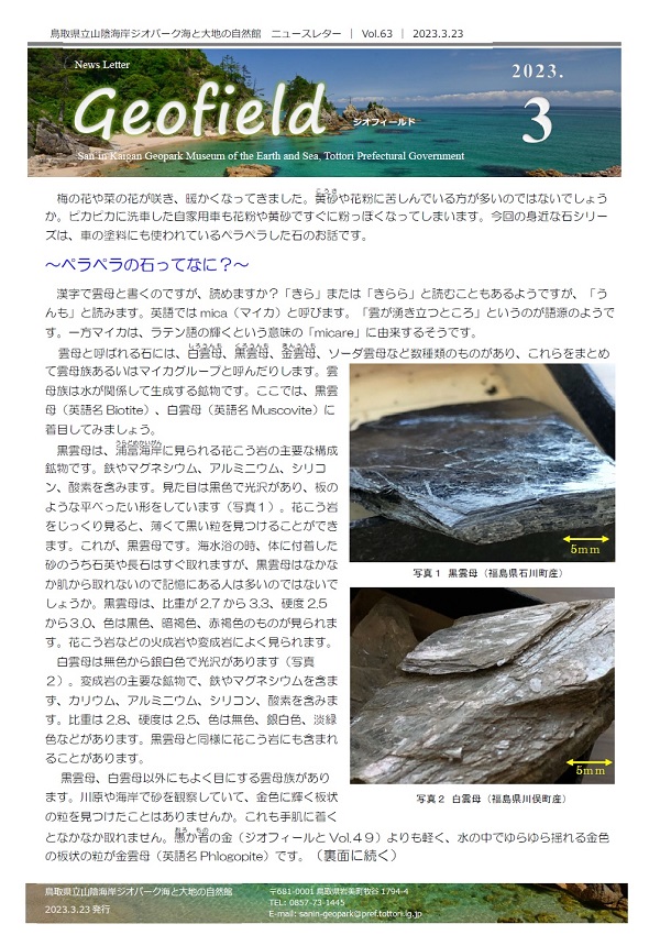 ジオフィールド63