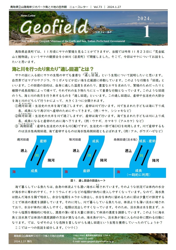 ジオフィールド73