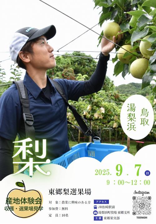 東郷梨産地体験会チラシ