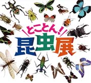 とことん昆虫展のポスター