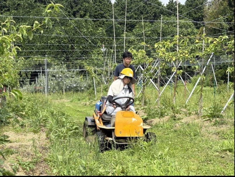 乗用モア