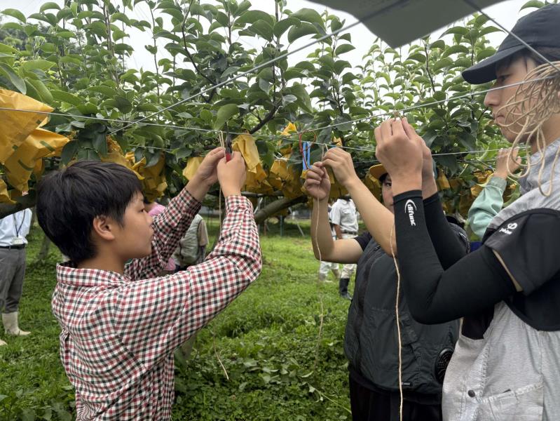 夏枝管理