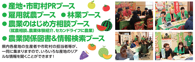 内容